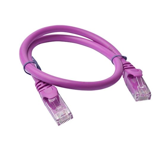 8ware RJ45 Cable CB8W-PL6-0.25PUR