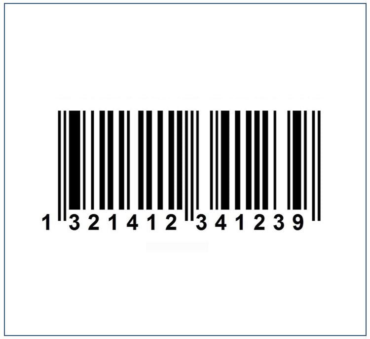 System Serial Number